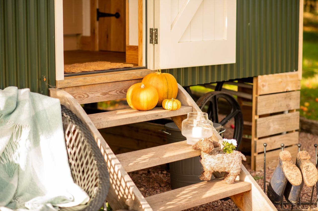 Harrys Hideout - Shepherd'S Huts At Harrys Cottages Pen-y-Clawdd Eksteriør bilde